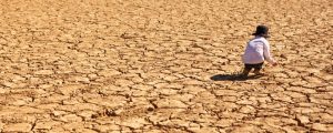 Confronting Climate Change in Africa