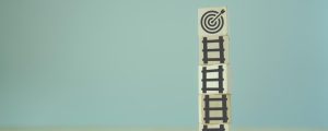 How Organisation Design Can Rescue the SDGs