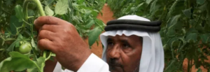 How agri-tech start-ups are driving investment in emerging markets