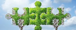 The Power of Public-Private Partnerships